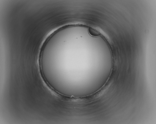 X0000110770943200906291045