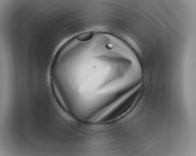 X0000110770944200906291045