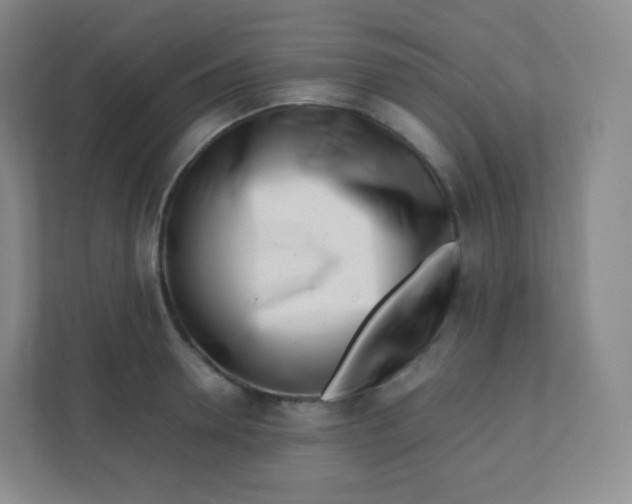 X0000110770946200906291045