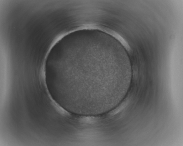 X0000110770950200906291045