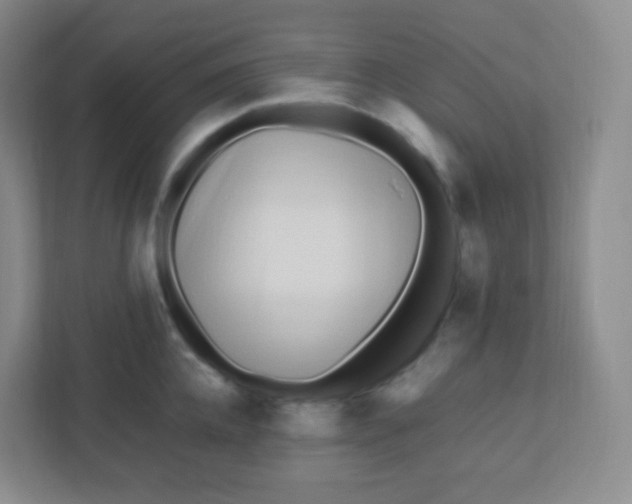 X0000110770952200906291045