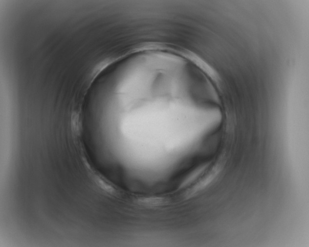 X0000110770953200906291045