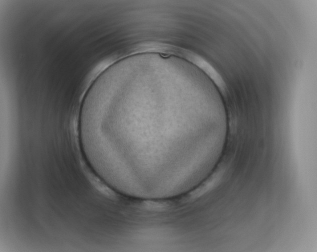 X0000110770954200906291045