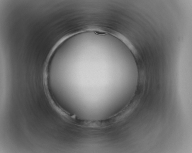 X0000110770955200906291045