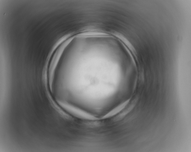 X0000110770957200906291045