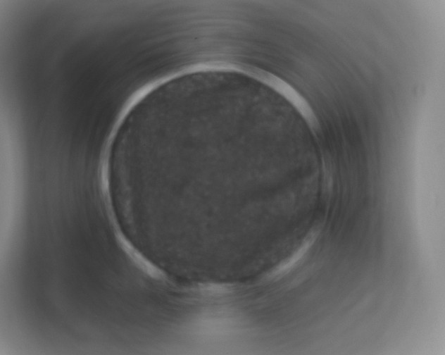 X0000110770958200906291045