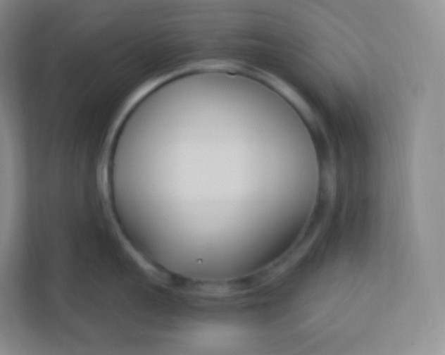 X0000110770959200906291045