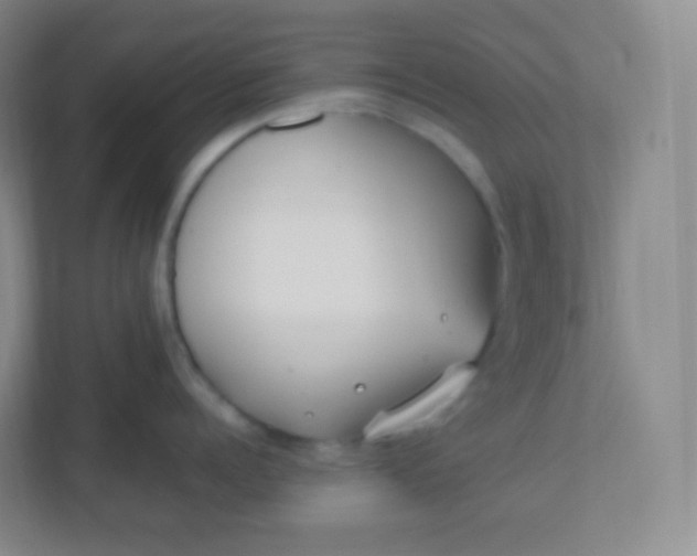 X0000110770960200906291045