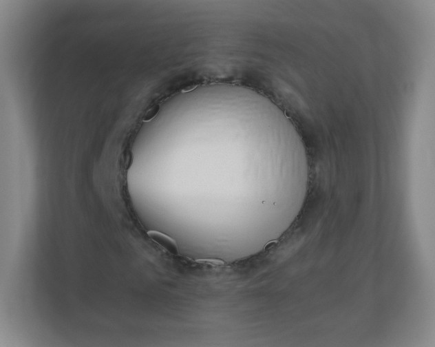 X0000110770961200906291045