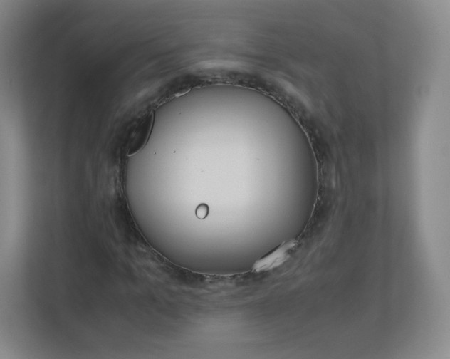 X0000110770965200906291045