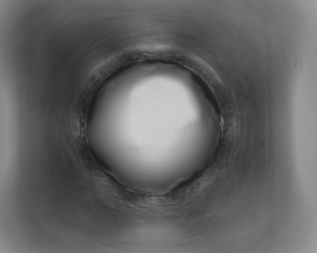 X0000110770966200906291045