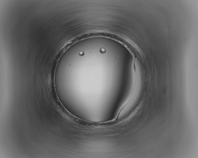 X0000110770969200906291045