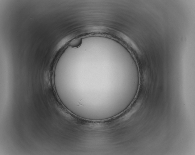 X0000110770970200906291045