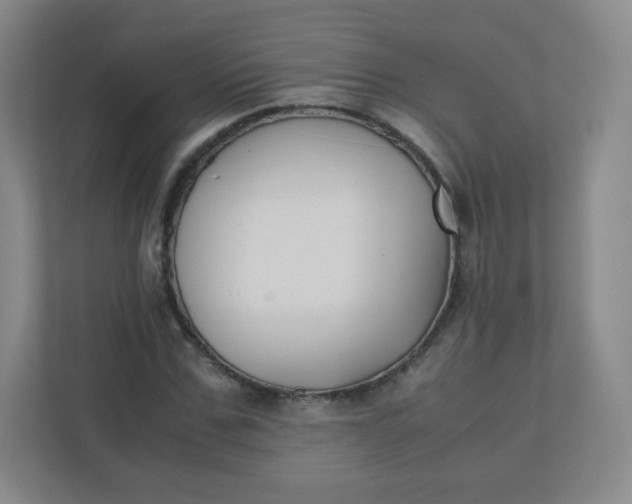 X0000110770971200906291045