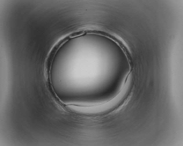 X0000110770973200906291045