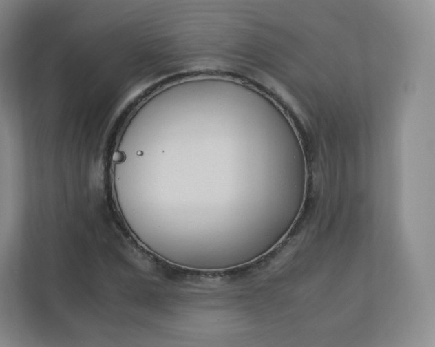 X0000110770975200906291045