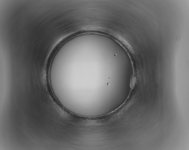 X0000110770976200906291045