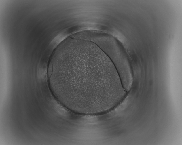 X0000110770977200906291045