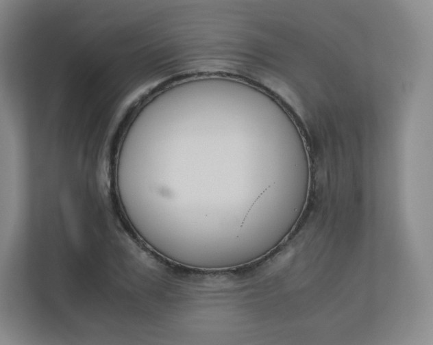 X0000110770979200906291044