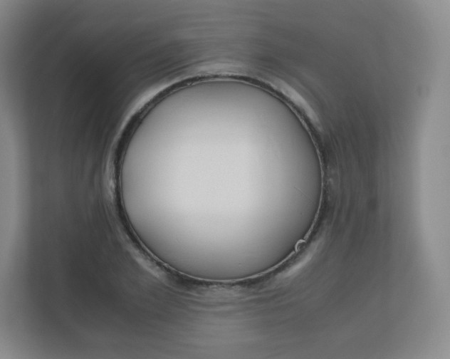 X0000110770981200906291044