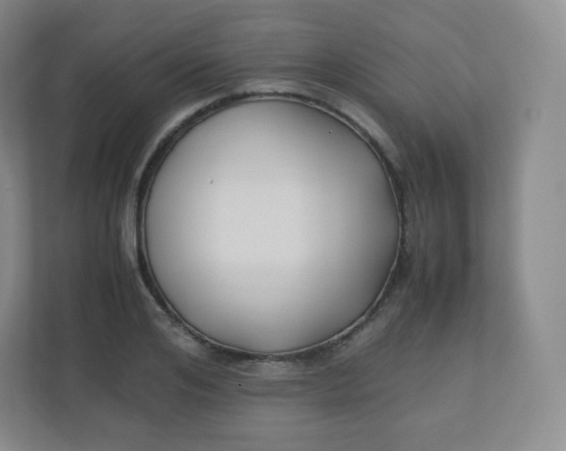 X0000110770984200906291044