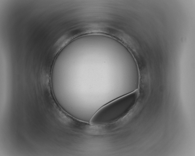 X0000110770985200906291044