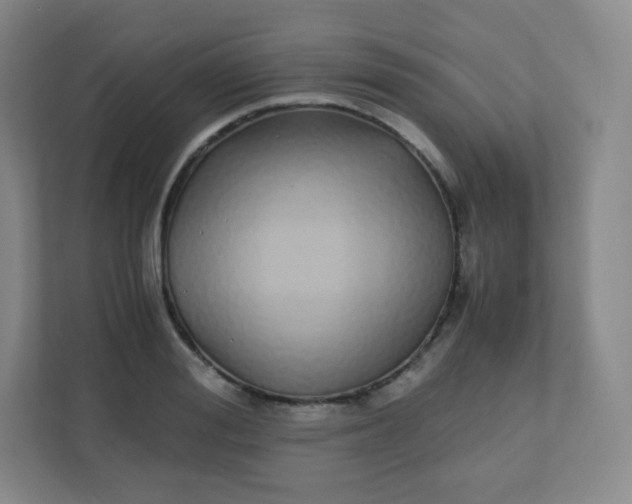 X0000110770988200906291044