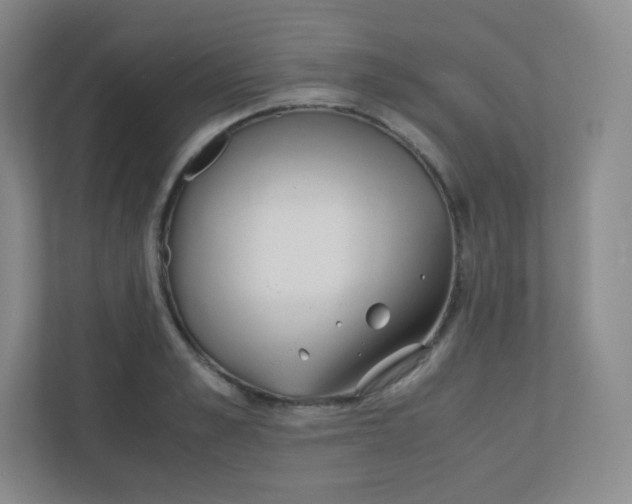 X0000110770989200906291044