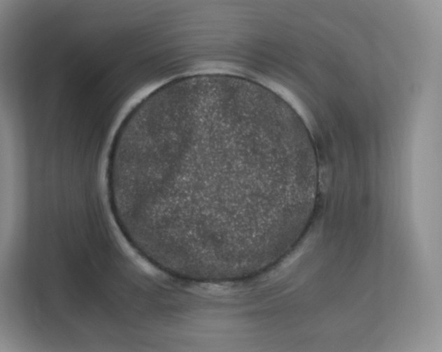 X0000110770995200906291044