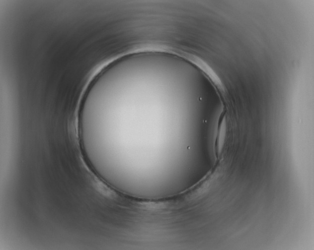 X0000110770996200906291044