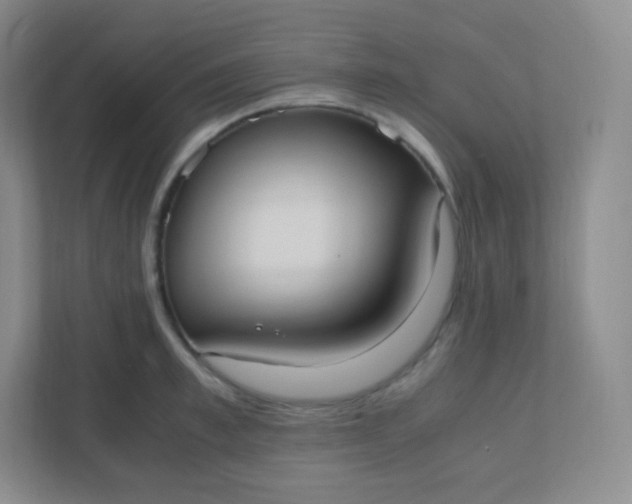 X0000110770997200906291044