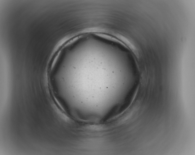 X0000110770998200906291044