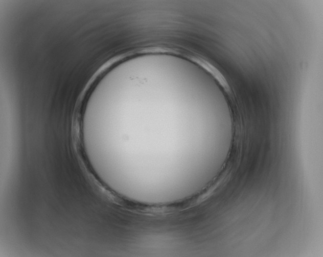 X0000110771000200906291044