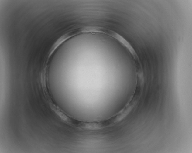 X0000110771002200906291044