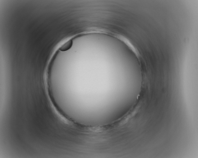 X0000110771003200906291044