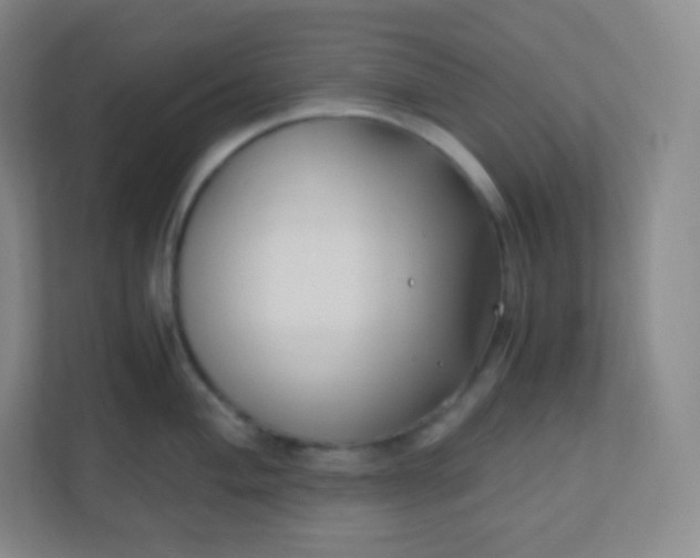 X0000110771004200906291044