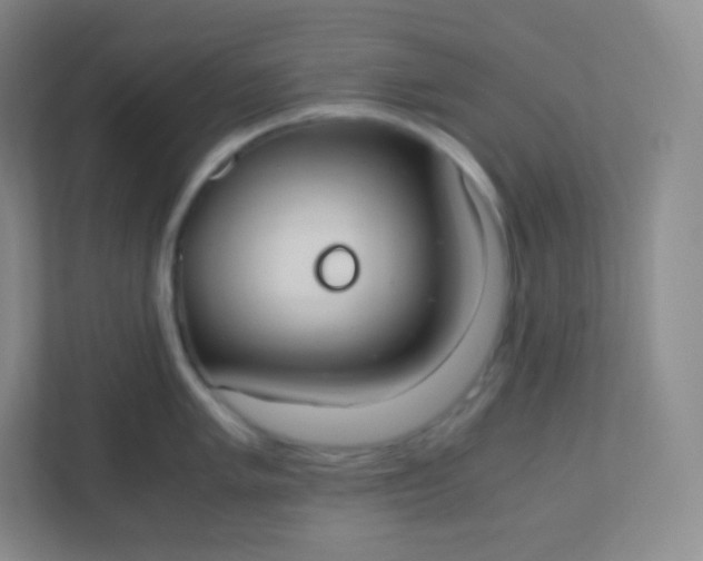 X0000110771005200906291044