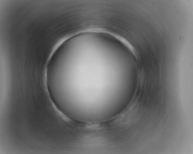 X0000110771006200906291044