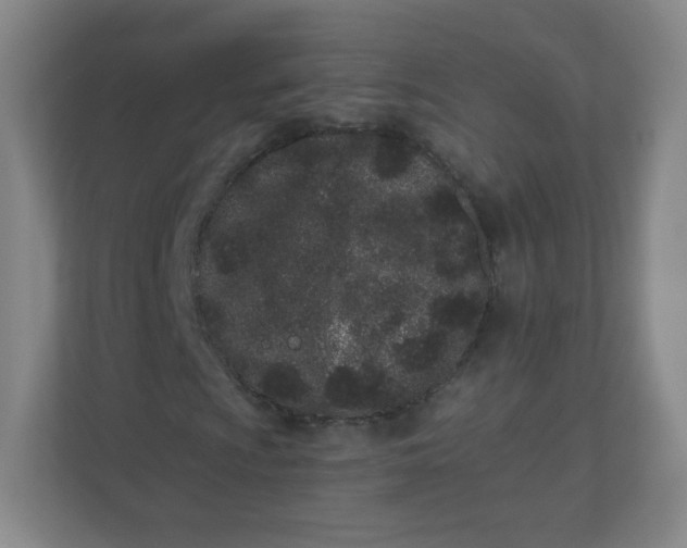 X0000110771009200906291043