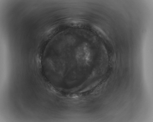 X0000110771013200906291044