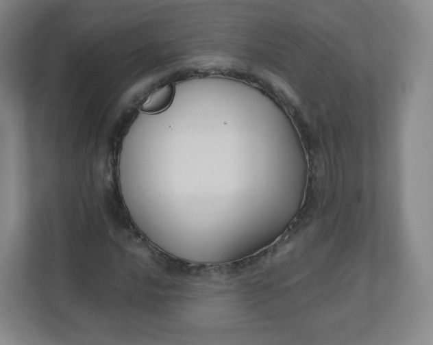 X0000110771016200906291044