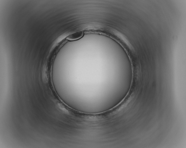 X0000110771018200906291044