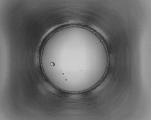 X0000110771021200906291044