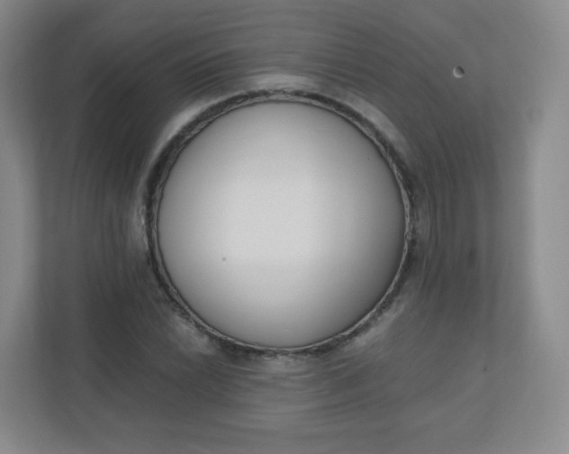 X0000110771022200906291044