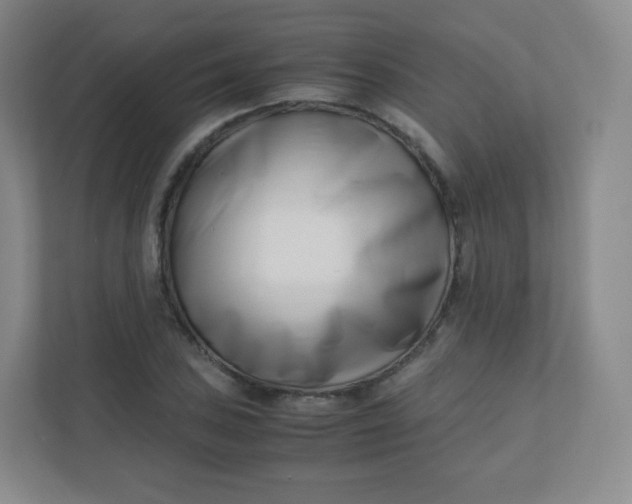 X0000110771027200906291044