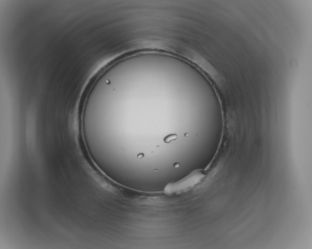 X0000110771028200906291044