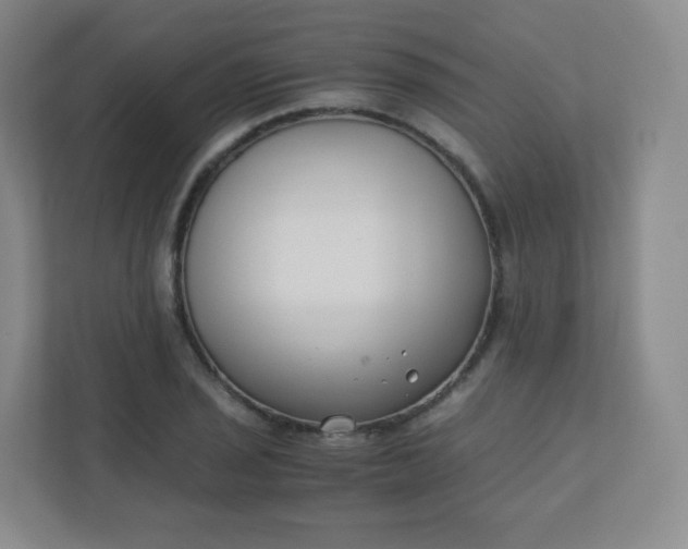 X0000110771029200906291044