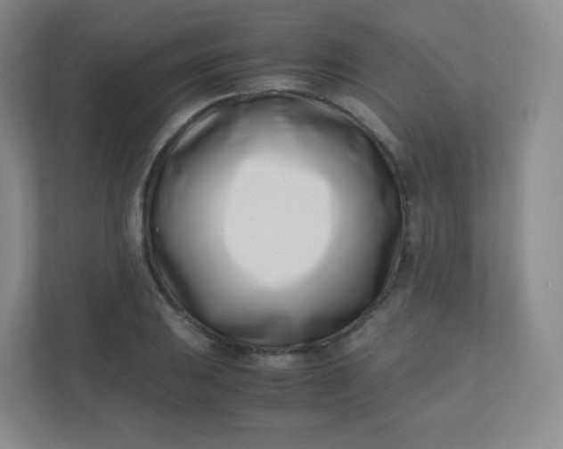 X0000110771031200906291044