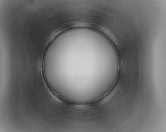 X0000110771033200906291044