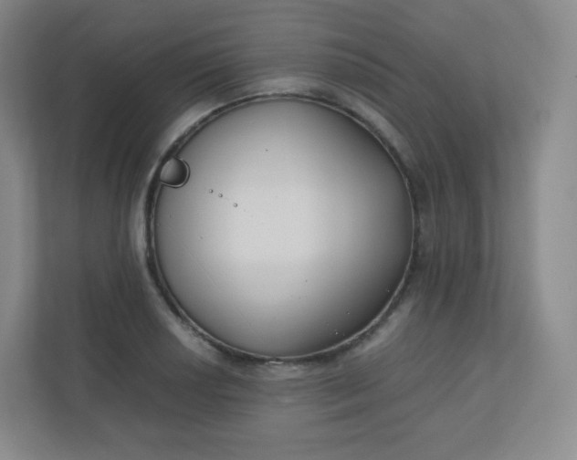 X0000110771034200906291044